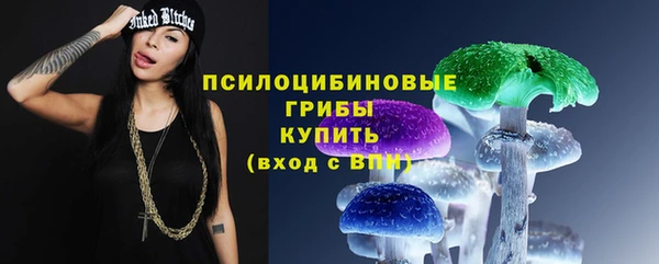 PSILOCYBIN Киреевск