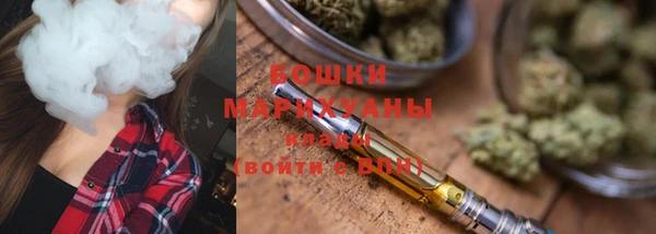 PSILOCYBIN Киреевск