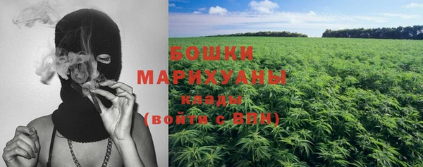 PSILOCYBIN Киреевск